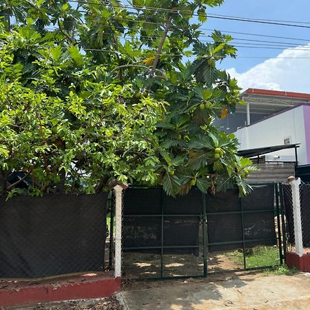 The Lazy Palm Shack Hotel Коимбаторе Екстериор снимка